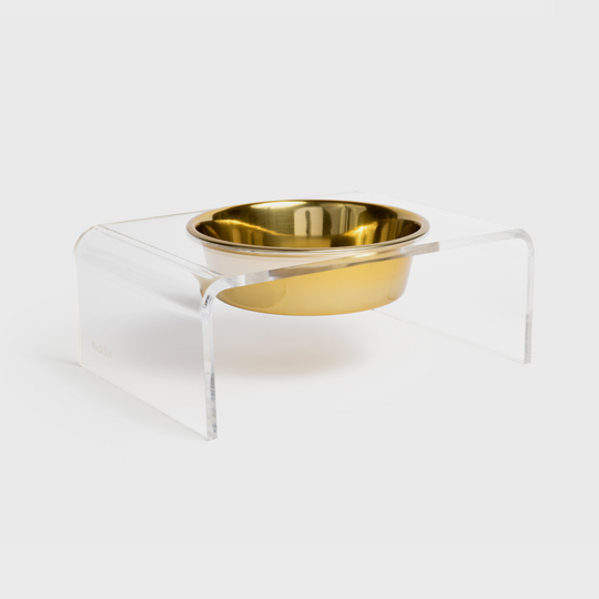 Clear Single Gold Bowl Feeder