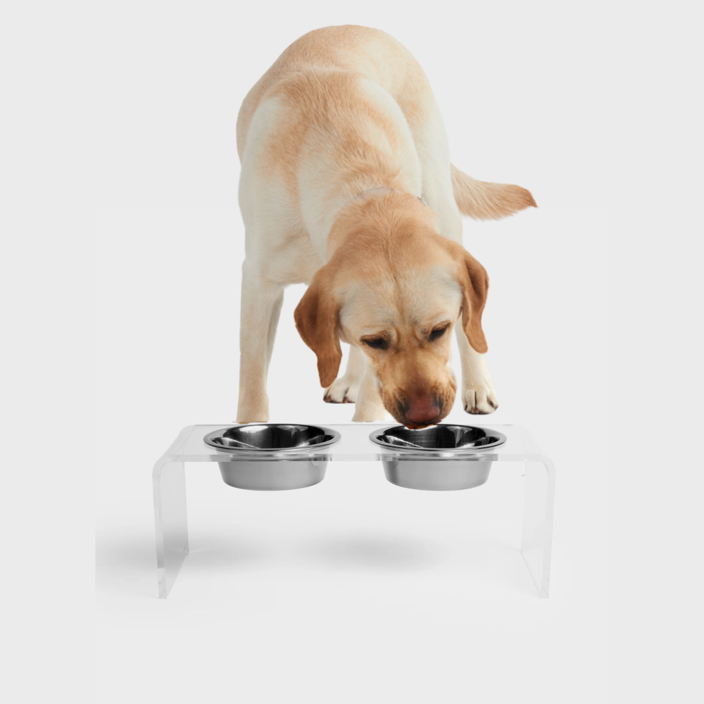 Medium Clear Double Pet Bowl Feeder with Silver Bowls Options