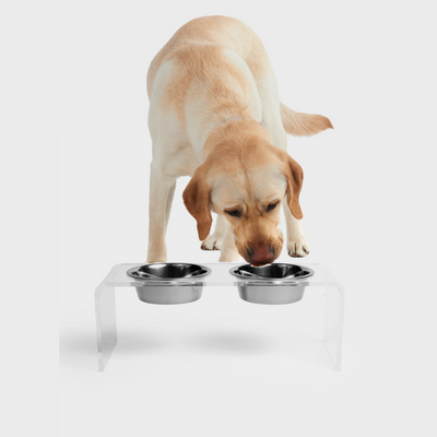 Elevated Dog Bowls, 3 Bowl Dog Feeder, Dog Feeding Station for Small to  Medium Size Dogs or Cats, Triple Dog Feeder, Dog Bowls With Stand 