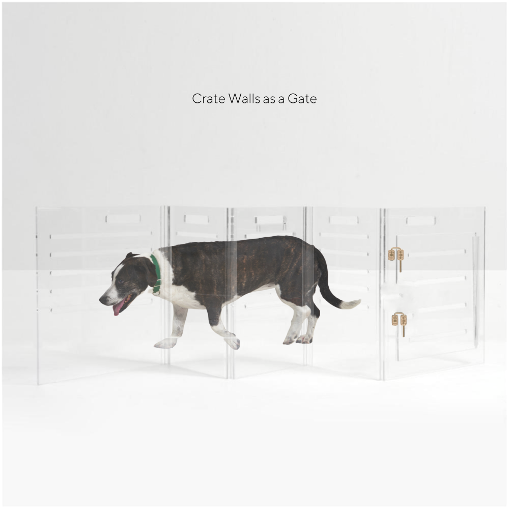 Clear Dog Crate to Gate | Large