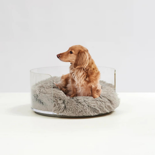 Dog sitting on Clear Round Pet Bed with taupe Donut Cushion