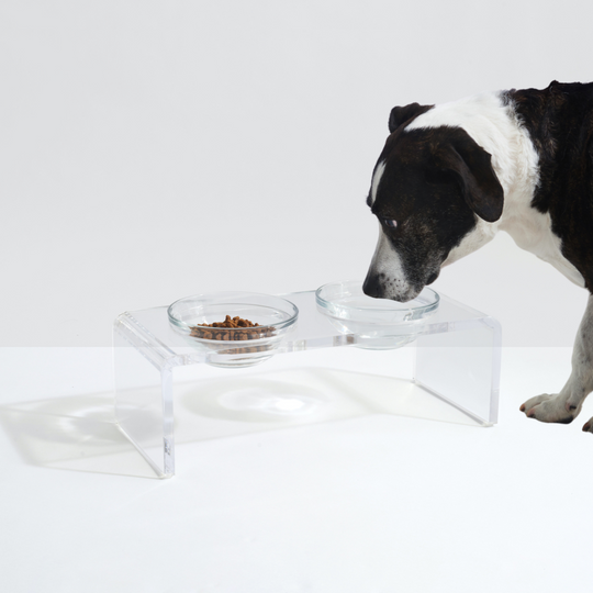 Clear Double Pet Bowl Feeder with Glass Bowls | Options