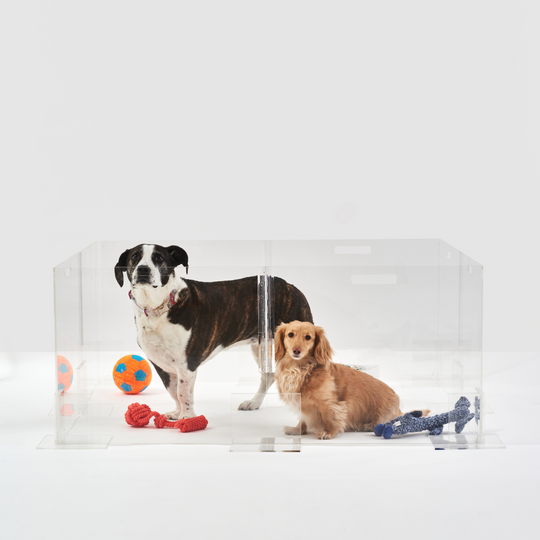 Clear Pet Playpen, 24" High | Options