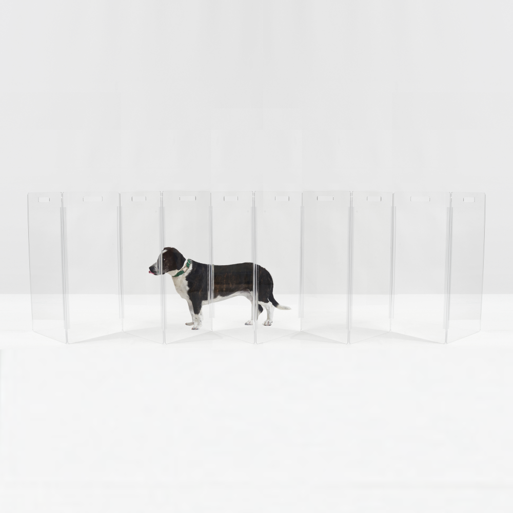  zig zag clear free standing pet gate 10 panel