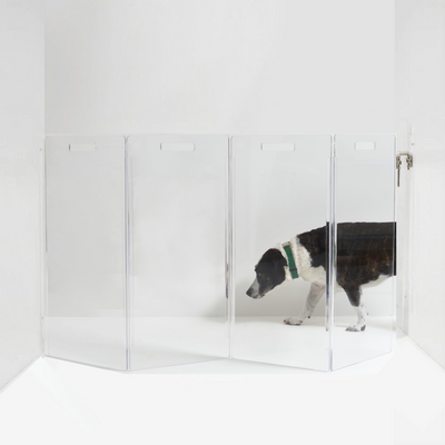 4 Panel Clear Acrylic Dog Gate