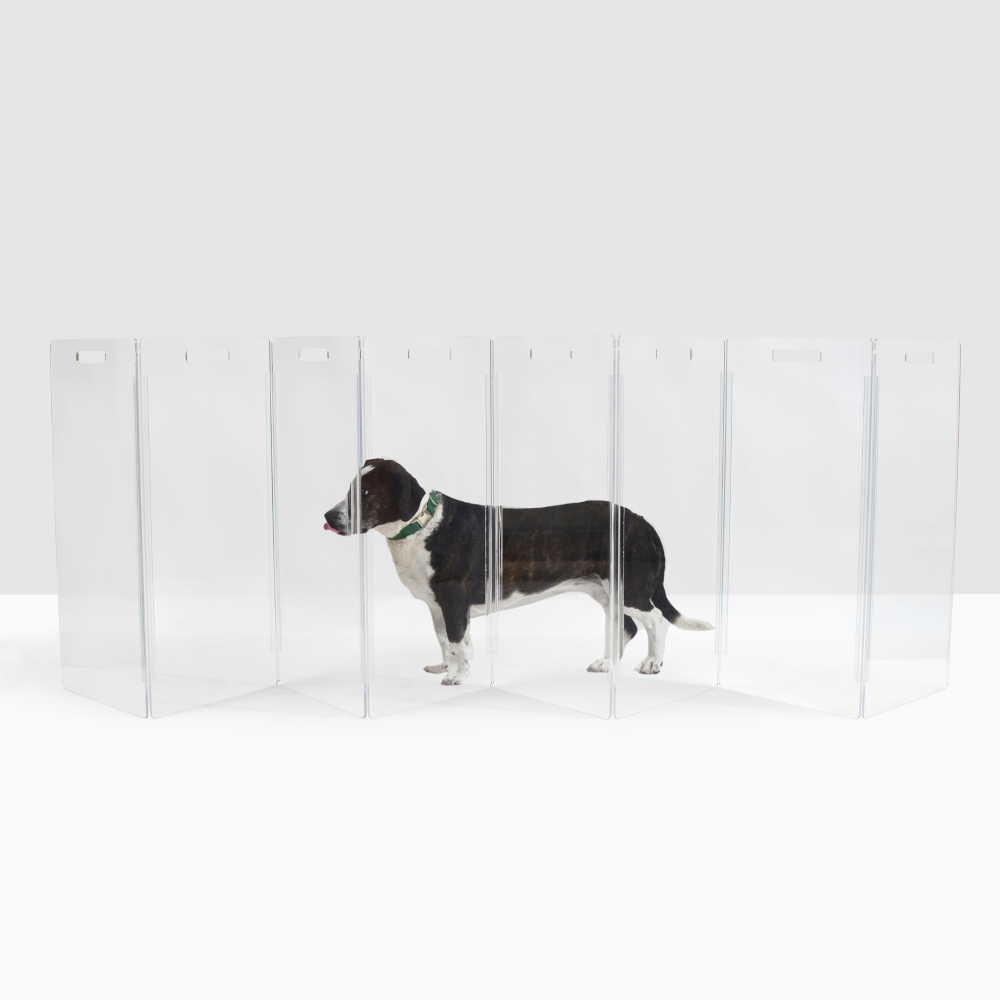 Clear Freestanding "High" Pet Gate Zig Zag | Options