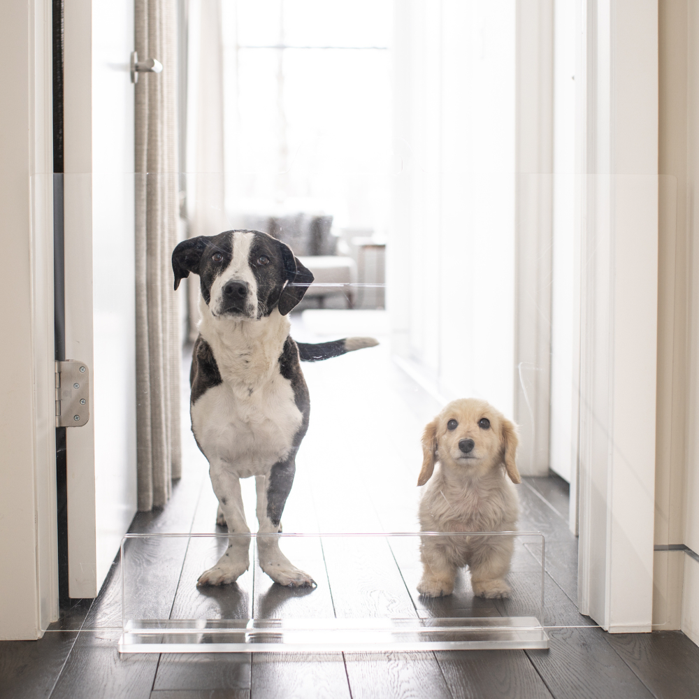 Clear Freestanding Pet Gate Panel | Options