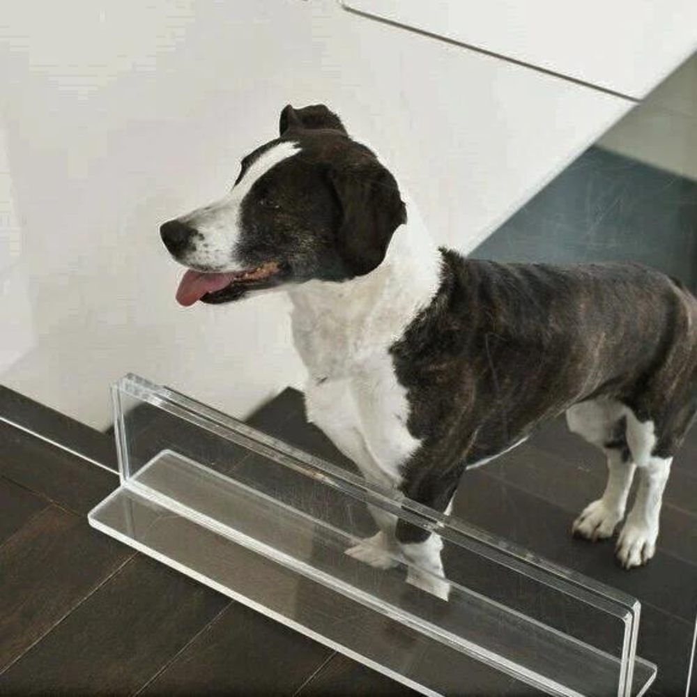 Clear Freestanding Pet Gate Panel | Options