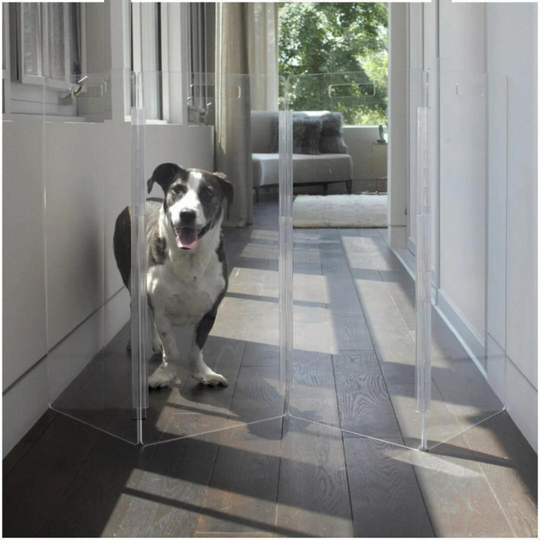 Dog standing behind clear pet gate