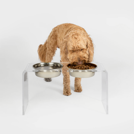 Tall Clear Double Pet Bowl Feeder with Silver Bowls