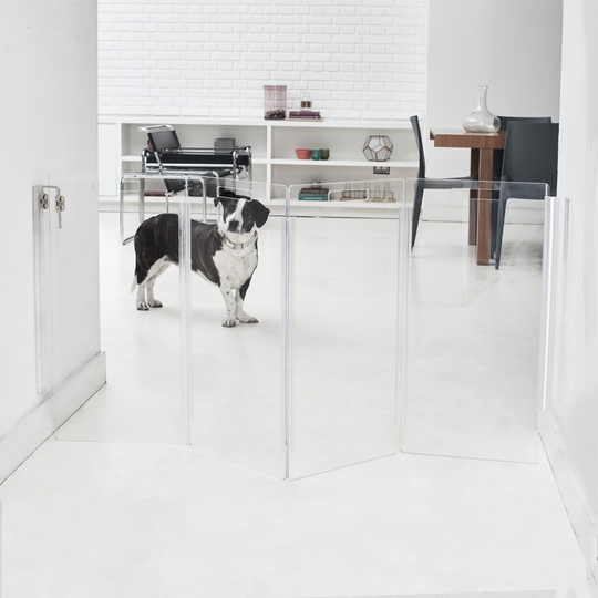 Wall Mounted Tall Clear Zig Zag Pet Gate | Options