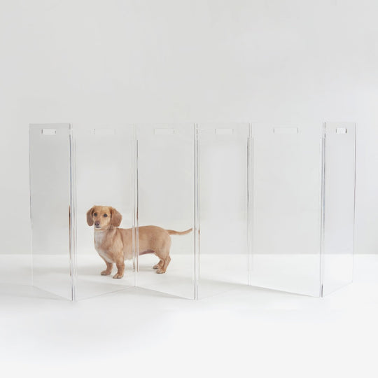 Clear Freestanding "High" Pet Gate Zig Zag | Options