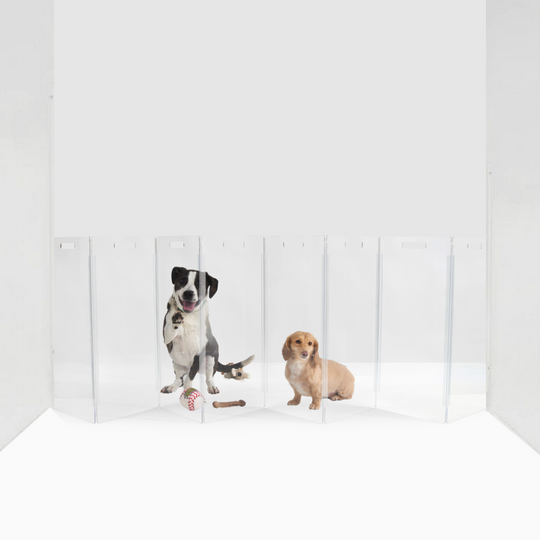 Clear Freestanding "High" Pet Gate Zig Zag | Options