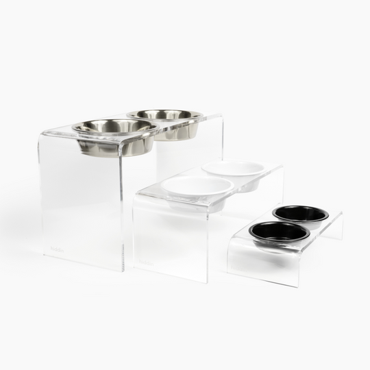 Tall Clear Double Pet Bowl Feeder with Silver Bowls