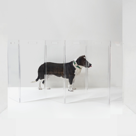 Clear Freestanding "High" Pet Gate Zig Zag | Options