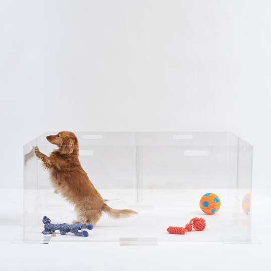 Clear Pet Playpen, 24" High | Options