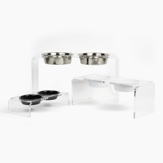 Tall Clear Double Pet Bowl Feeder with Silver Bowls