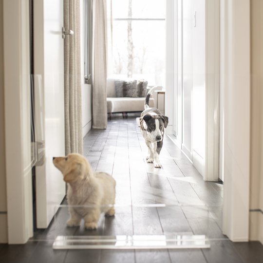 Clear Freestanding Pet Gate Panel | Options