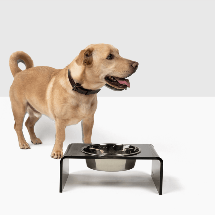 Stunning Slim Hidden Pet Feeder image