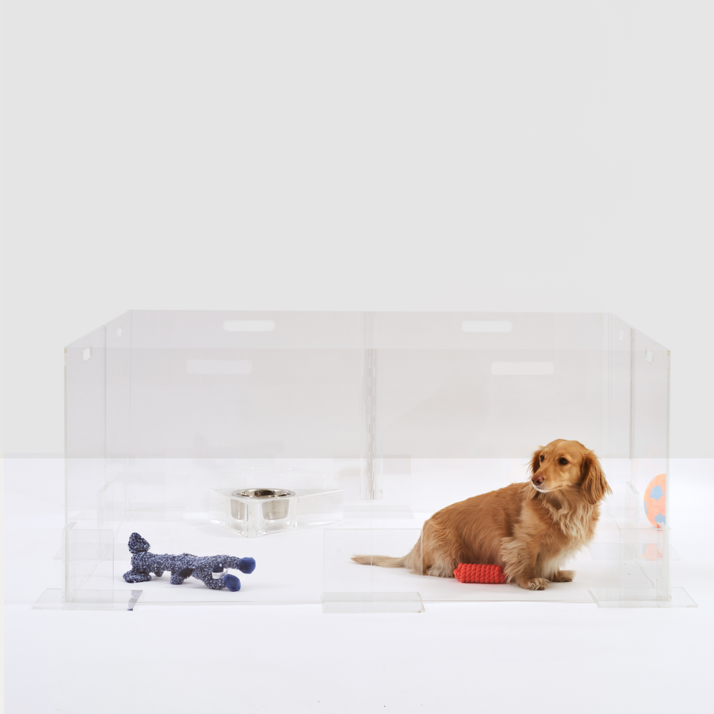 Clear Pet Playpen, 24" High | Options