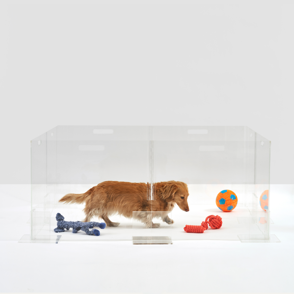 Clear Pet Playpen, 24" High | Options