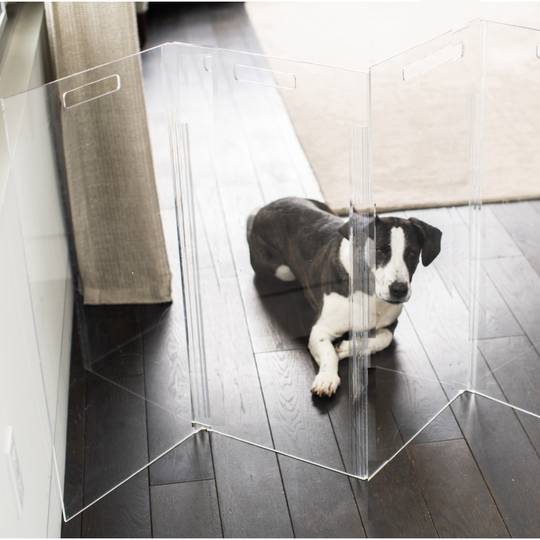 Clear Freestanding "High" Pet Gate Zig Zag | Options