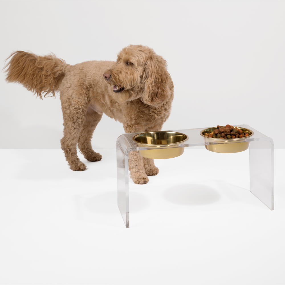 Large glass dog bowls best sale