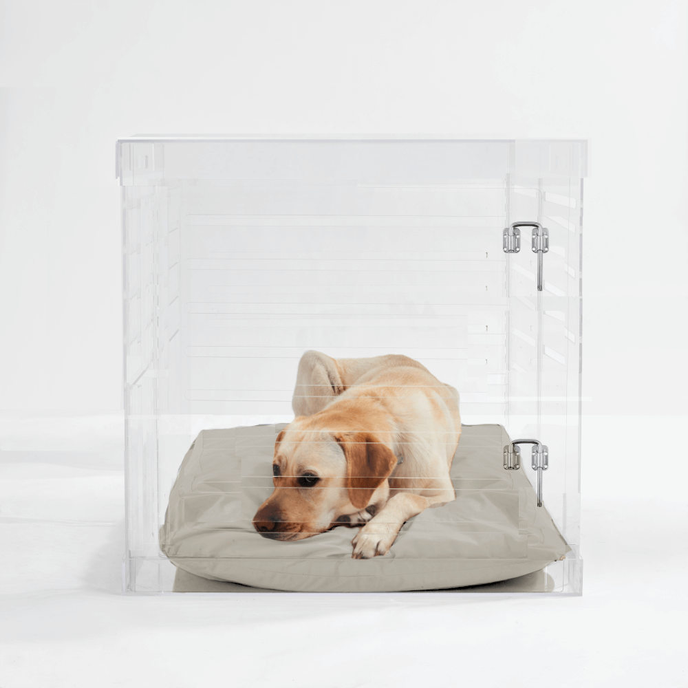 Large Crate (Silver Latch)