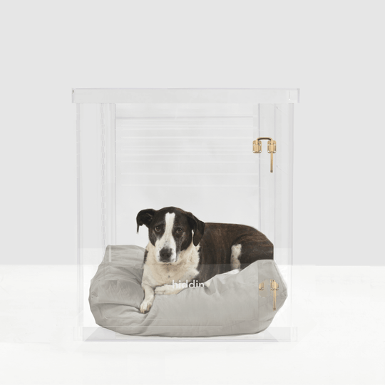 Hiddin Crate Cover & Cushion Set