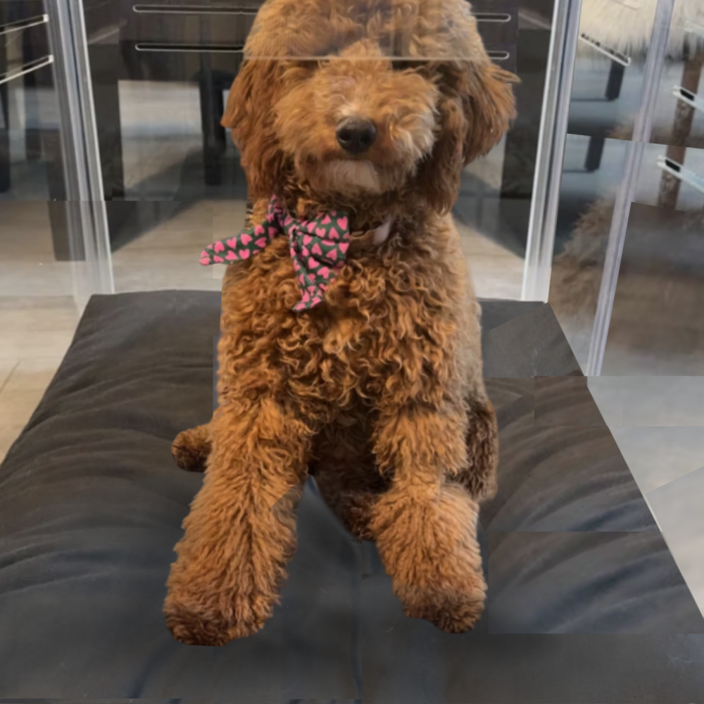 Large Crate (Gold Latch)