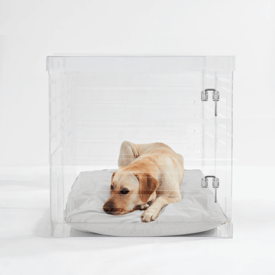 Large Crate (Silver Latch)