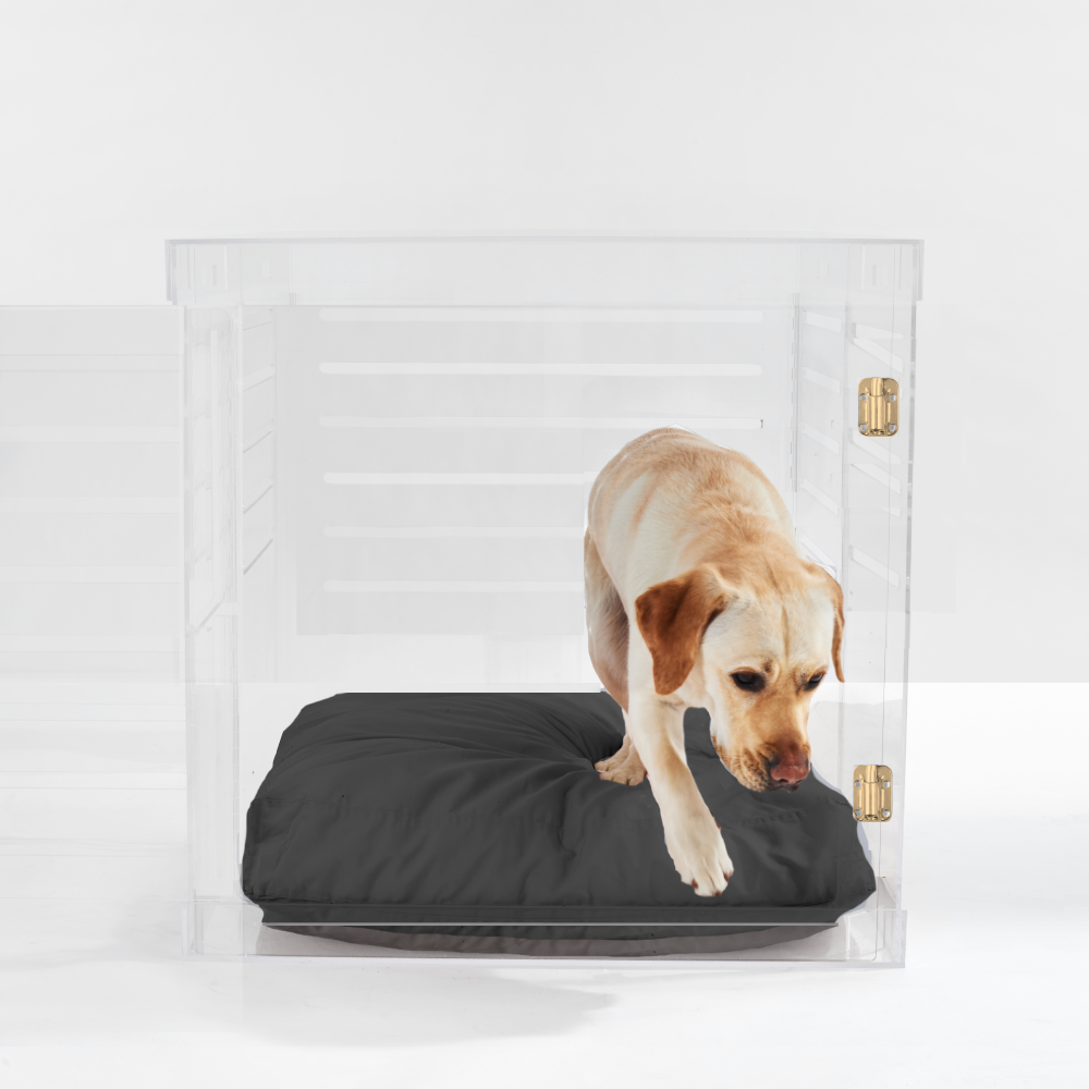Large Crate (Gold Latch)