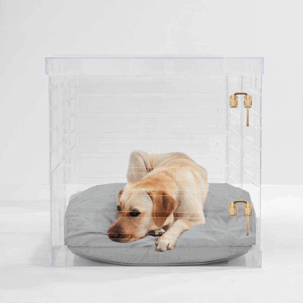 Large Crate (Gold Latch)