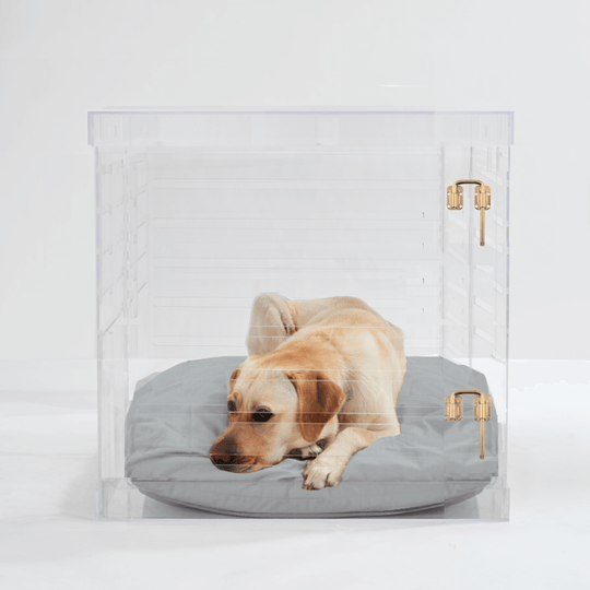 Large Crate (Gold Latch)