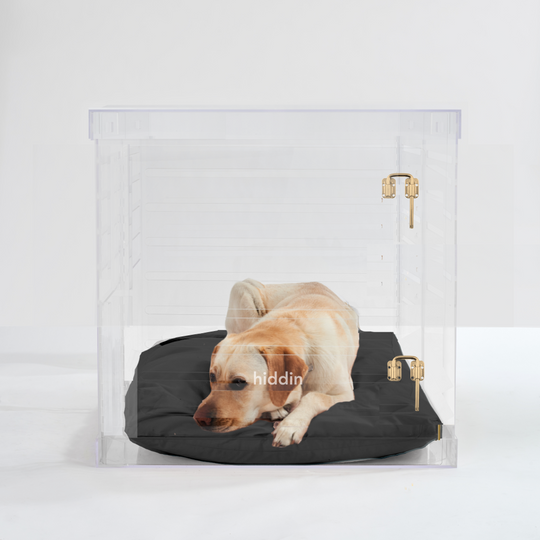 Large Crate (Gold Latch)