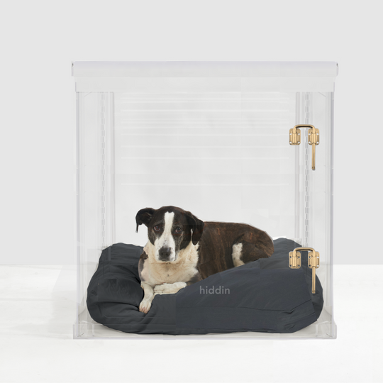 Large Crate (Gold Latch)