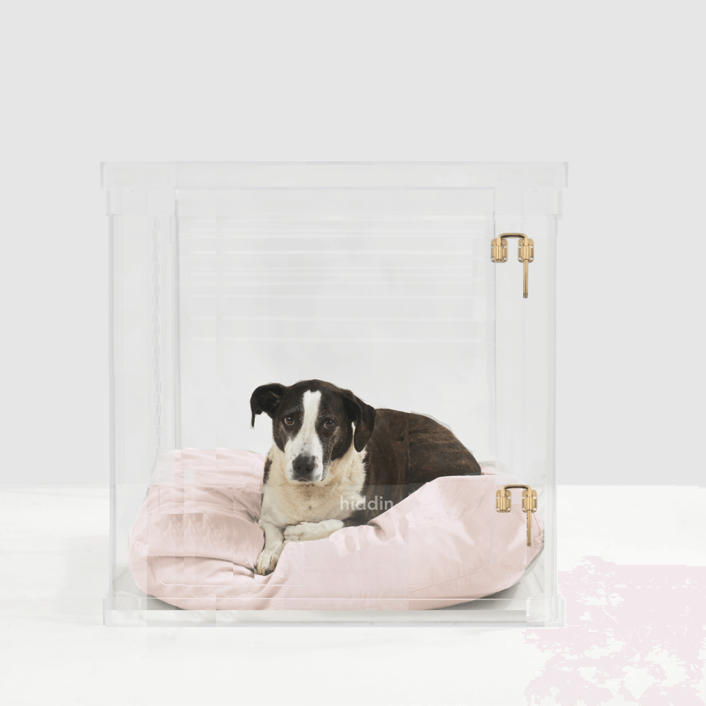 Large Crate (Gold Latch)