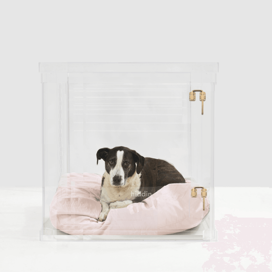 Large Crate (Gold Latch)