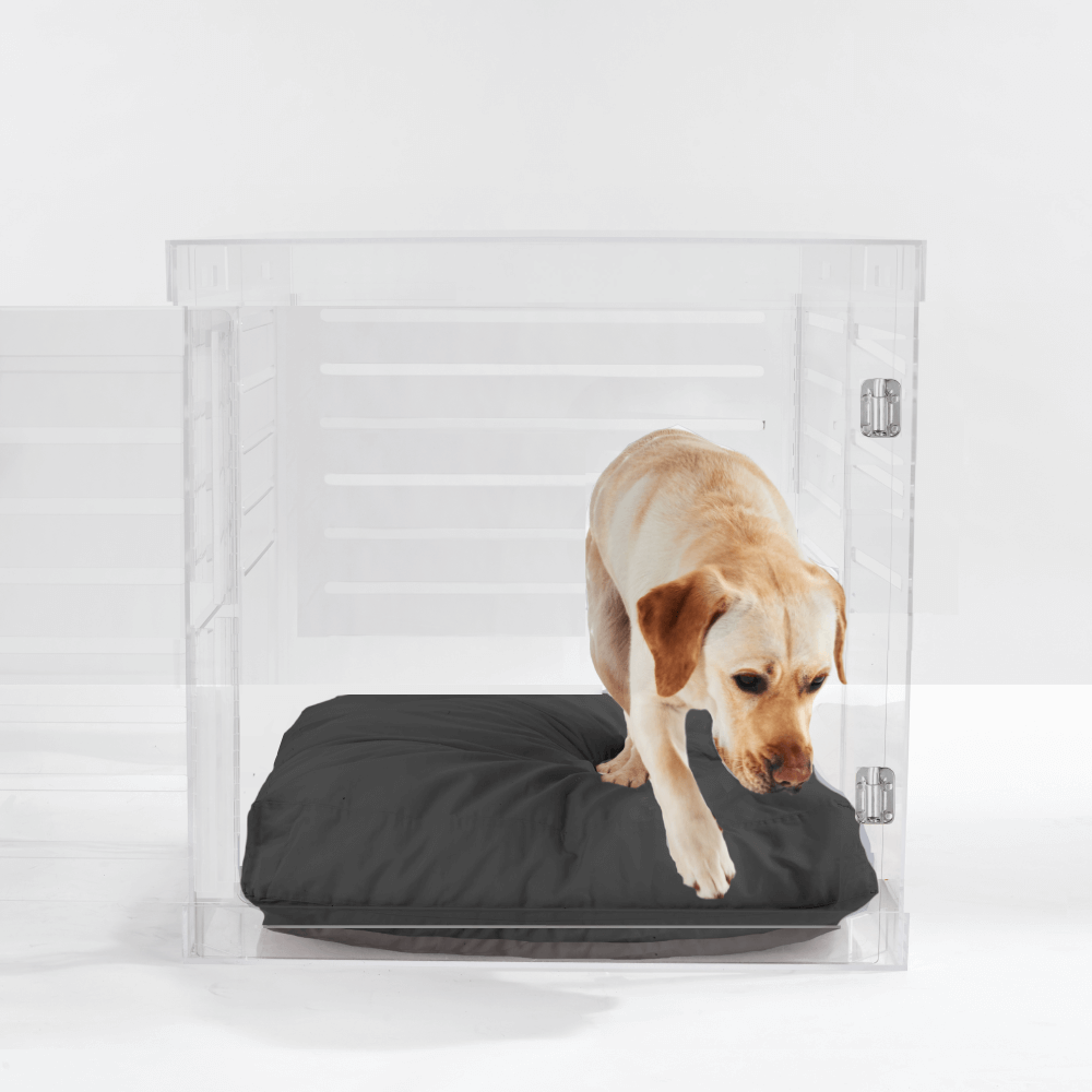 Large Crate (Silver Latch)