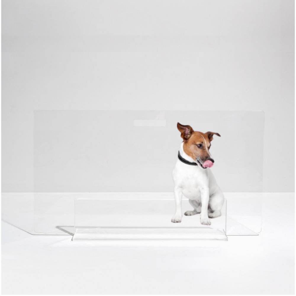 low lucite view panel pet dog gate