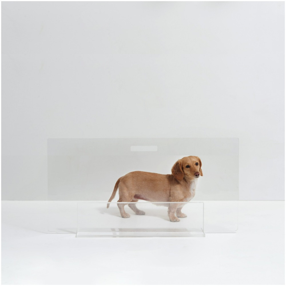 low lucite view panel pet dog gate