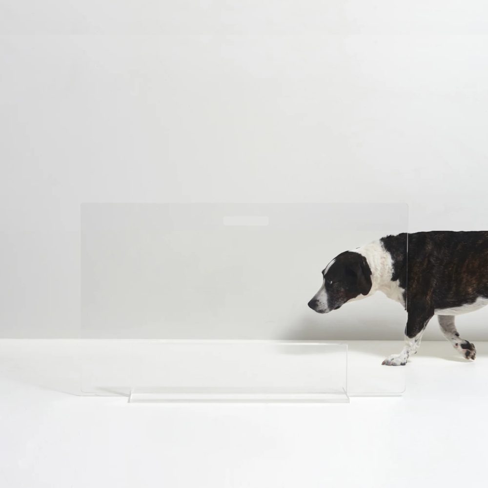 low lucite view panel pet dog gate
