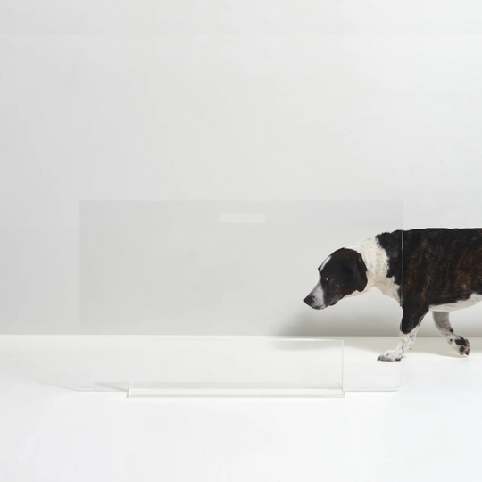 low lucite view panel pet dog gate