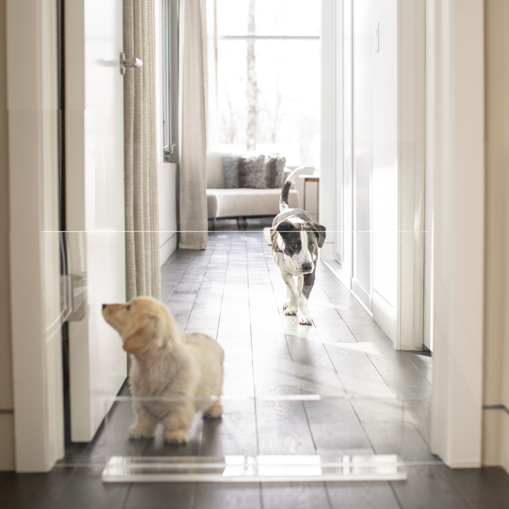 low lucite view panel pet dog gate