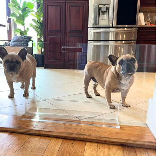 low lucite view panel pet dog gate