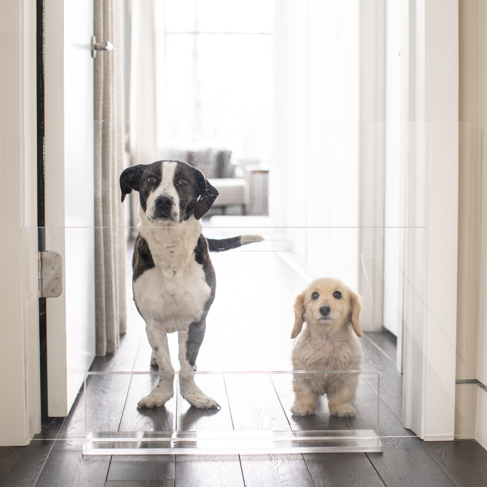 low lucite view panel pet dog gate
