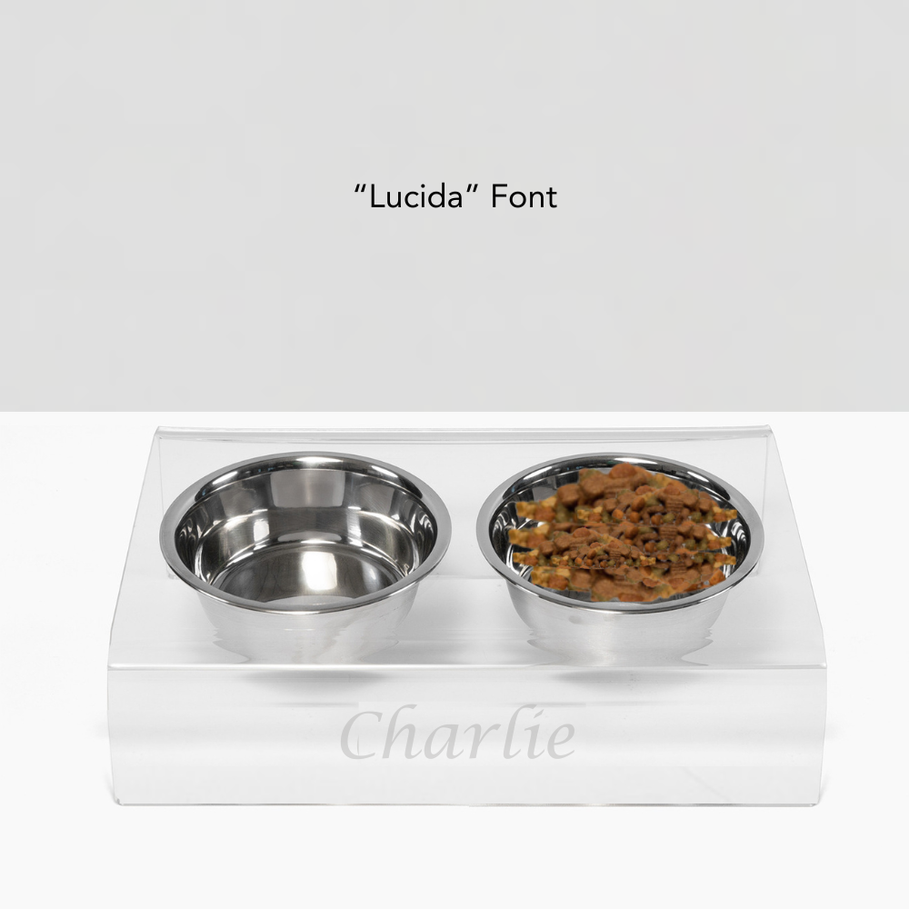 Personalized Slanted Silver Bowl Feeder | Options