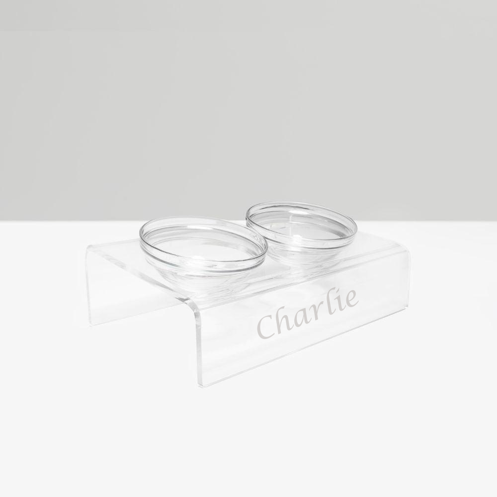 Personalized Slanted Glass Bowl Feeder | Options