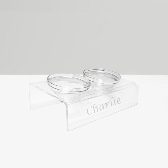 Personalized Slanted Glass Bowl Feeder | Options