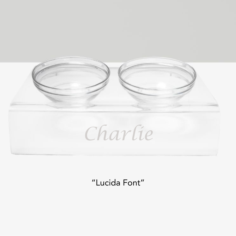 Personalized Slanted Glass Bowl Feeder | Options